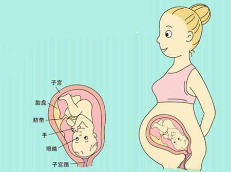 孕期胎儿缺氧的症状有哪些?准妈妈早点知道,胎