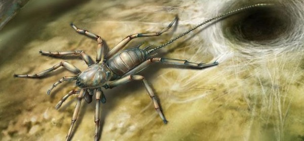 之前的生活中,人们也把蜘蛛叫做"蟢蛛","蟢子","喜母".