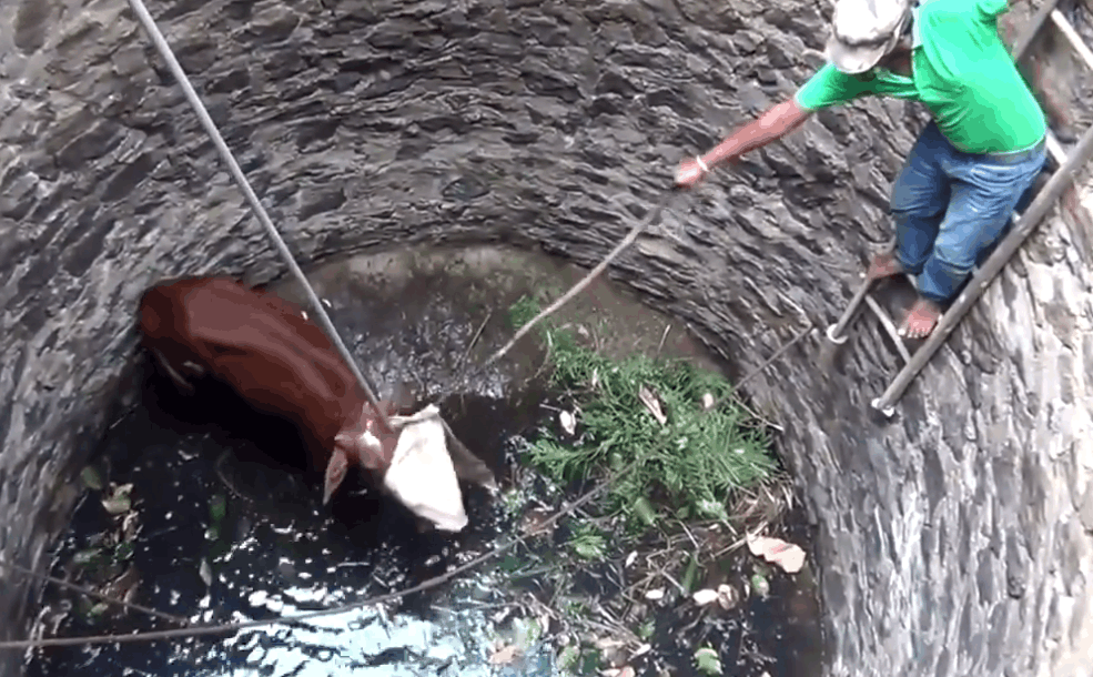 男子家中挖水井, 吃一顿午饭的功夫, 井中多了这个一