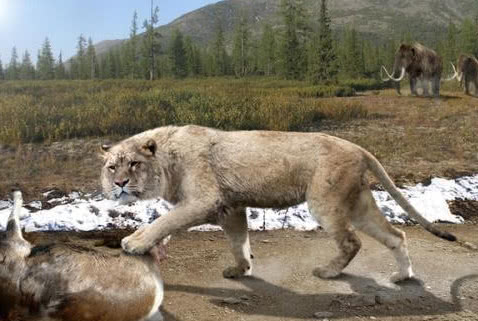 5种战力非凡的史前动物,图3灭绝八千年,有望通过克隆"重生"