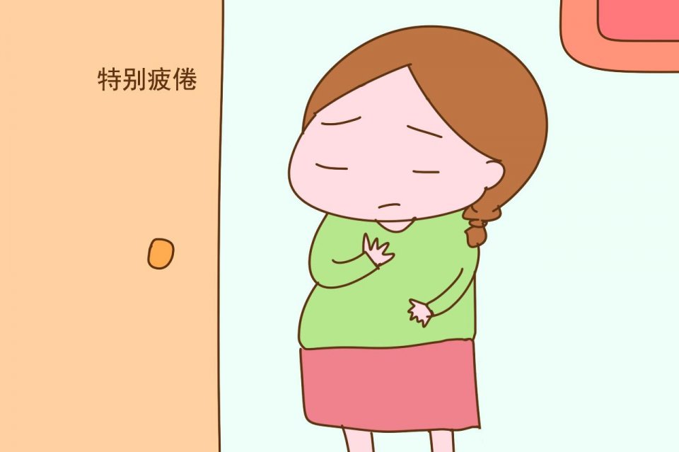孕早期不光孕吐难受这几件糟心事也在排队等着
