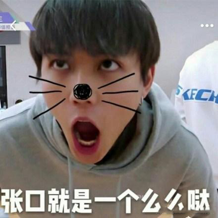 npc成员表情包:范丞丞魔性,蔡徐坤可爱,看到小鬼的我笑了!