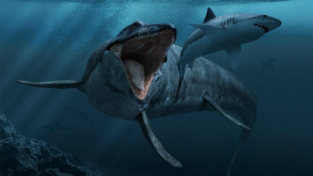 探寻古生物:恐龙时期海洋中无敌的存在,中生代的顶级掠食者