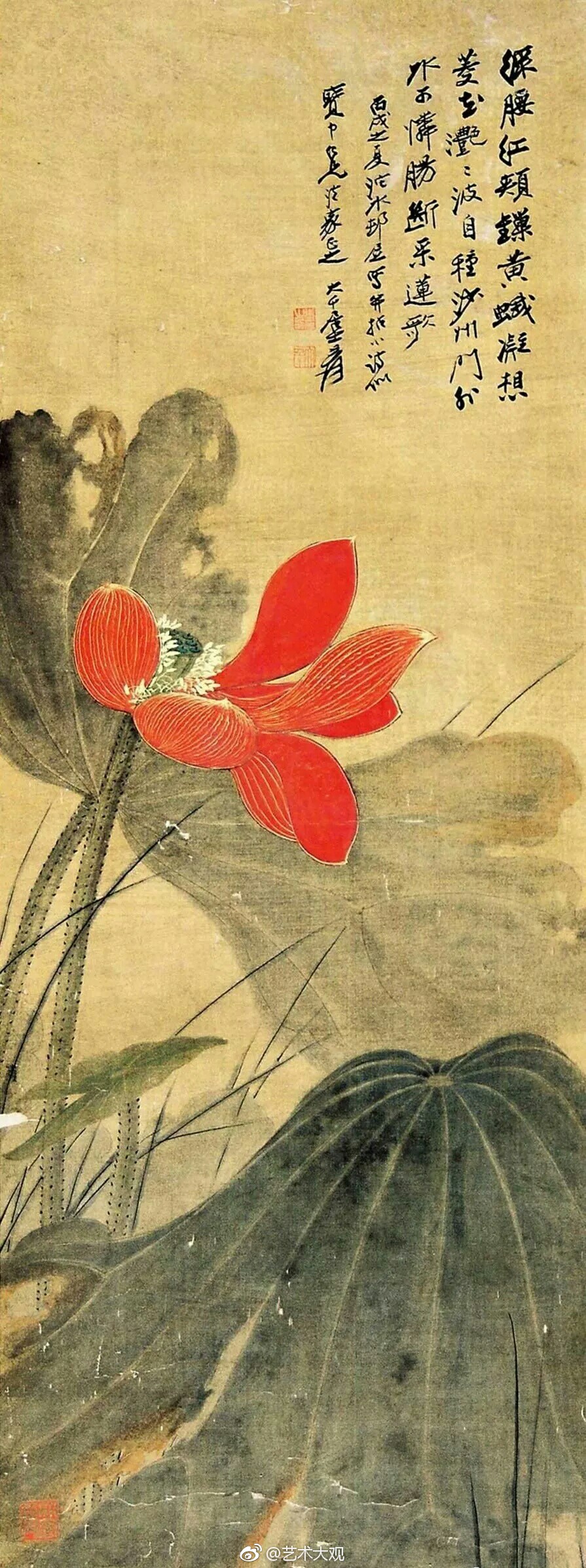 名家国画经典菏花作品欣赏