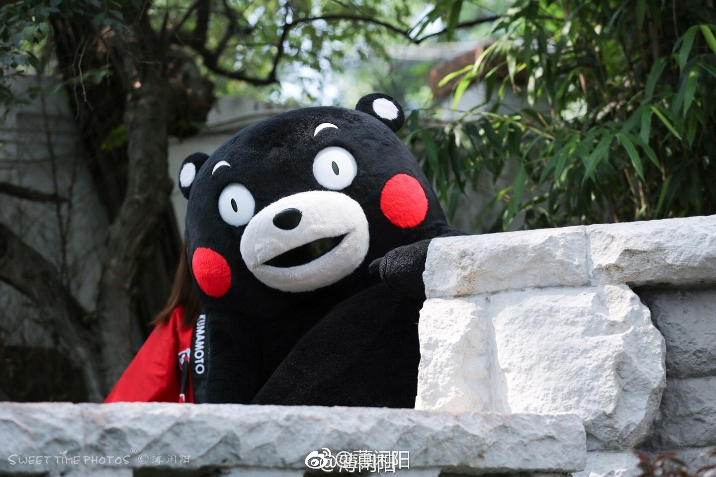 本期特约嘉宾:日本公务员,熊本熊(日语:くまモン