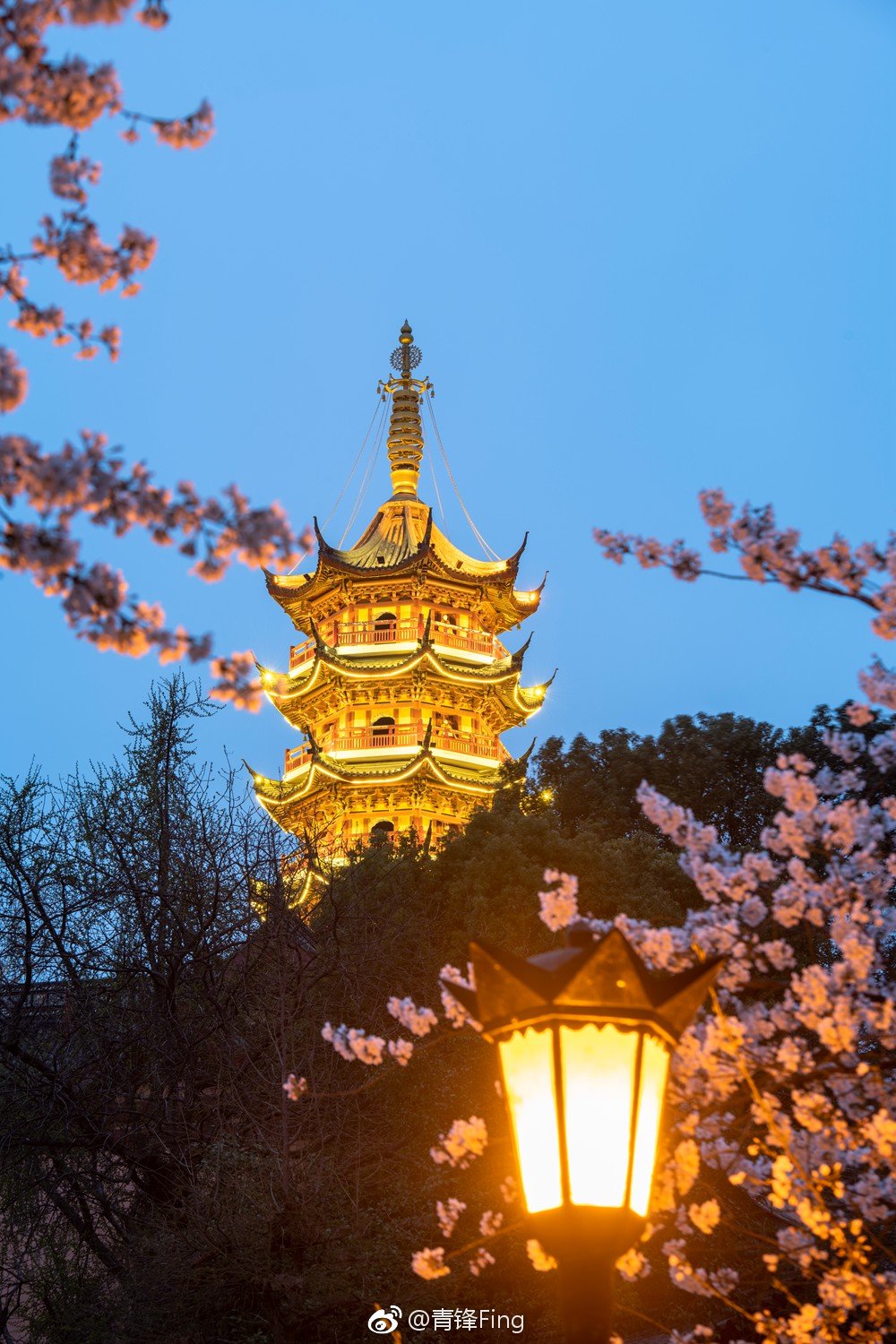 你们要的樱花树前入夜蓝光时间的鸡鸣寺药师塔