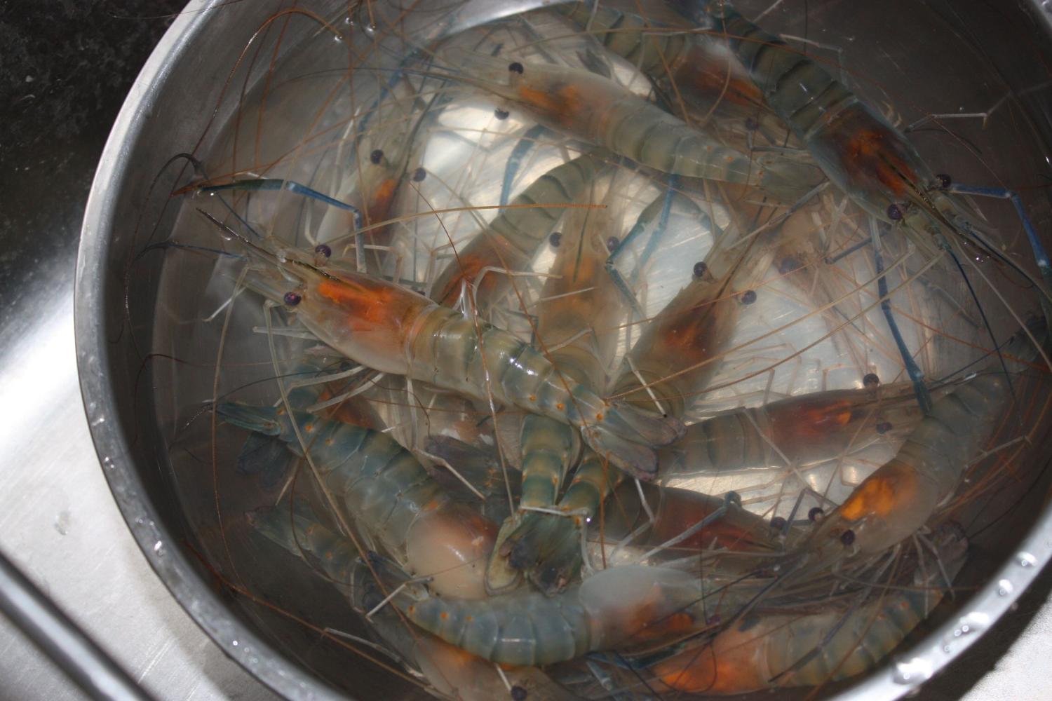 婆婆路边买了"大头虾", 50元一斤, 看到做法后老公不淡定了!