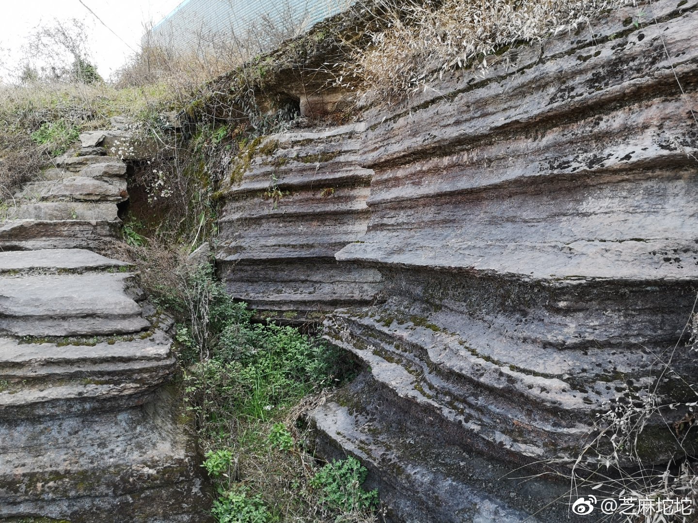 湖北省宜昌市夷陵区黄花场金钉子地层剖面确立于2007年7月