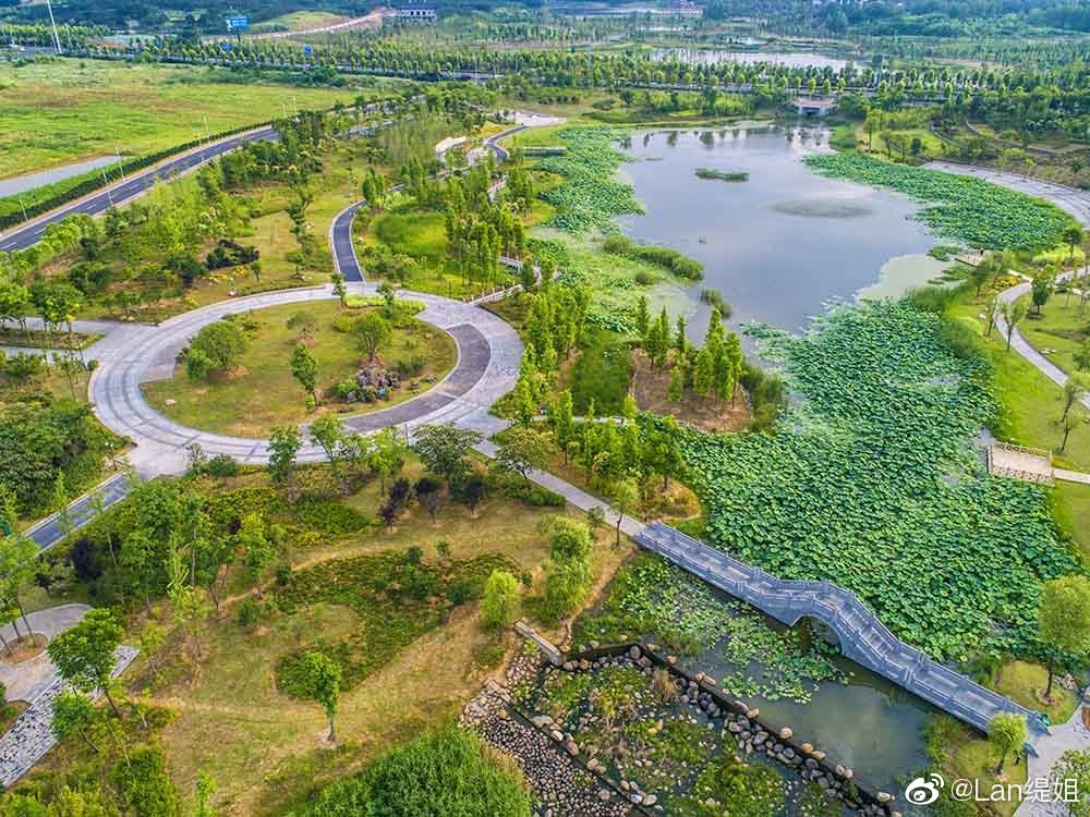 城市之肺,六安九十里山水画廊起点上的万亩南湖湿地公园,飞阅六安