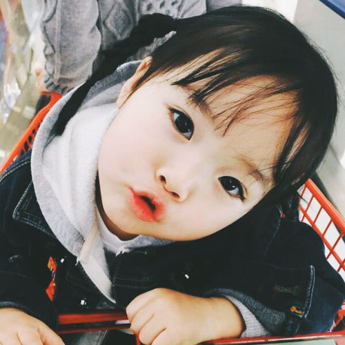 又来骗你生女鹅啦 律二头像