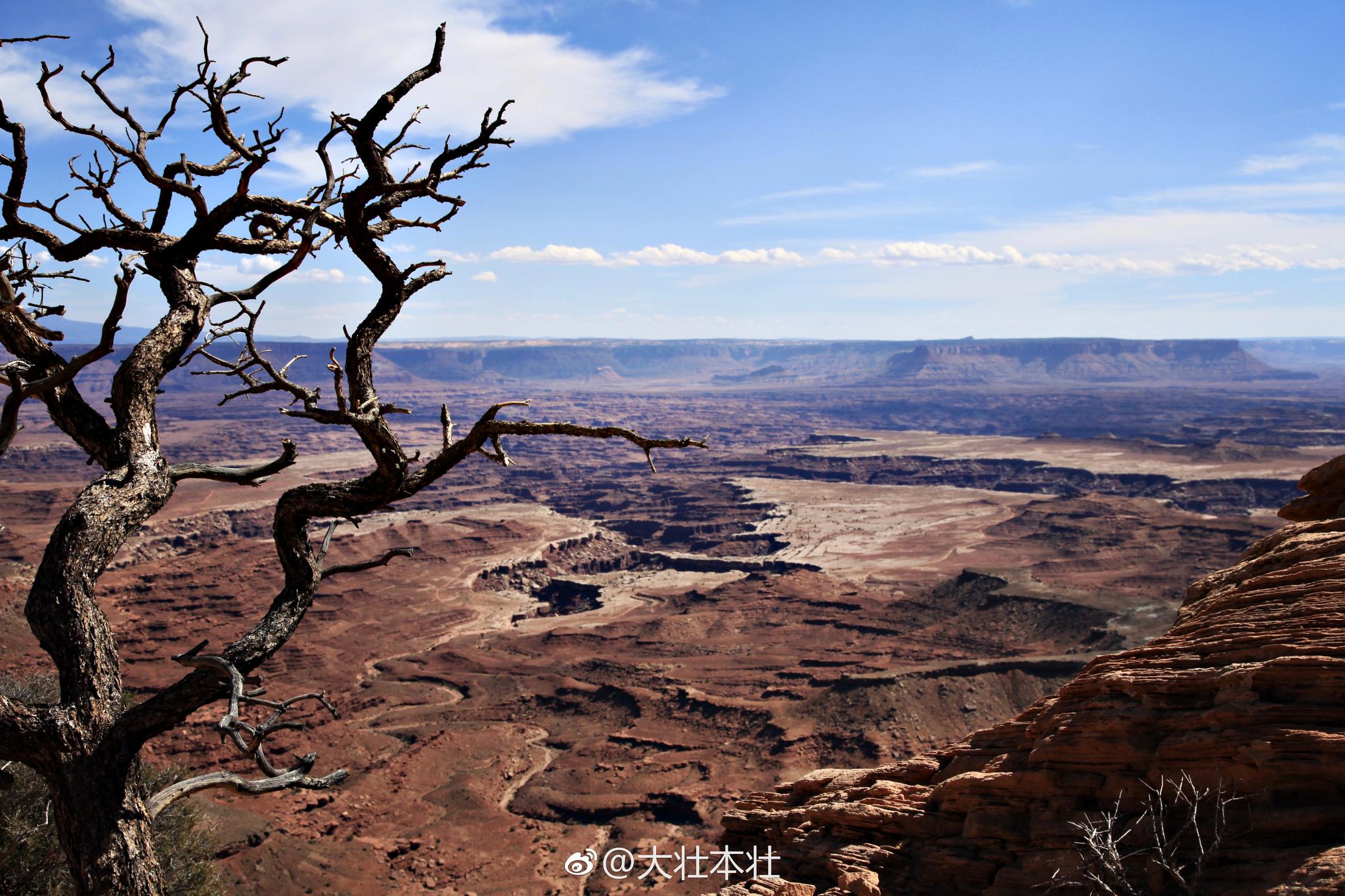 荒凉之美|存货|主题|风景_新浪新闻