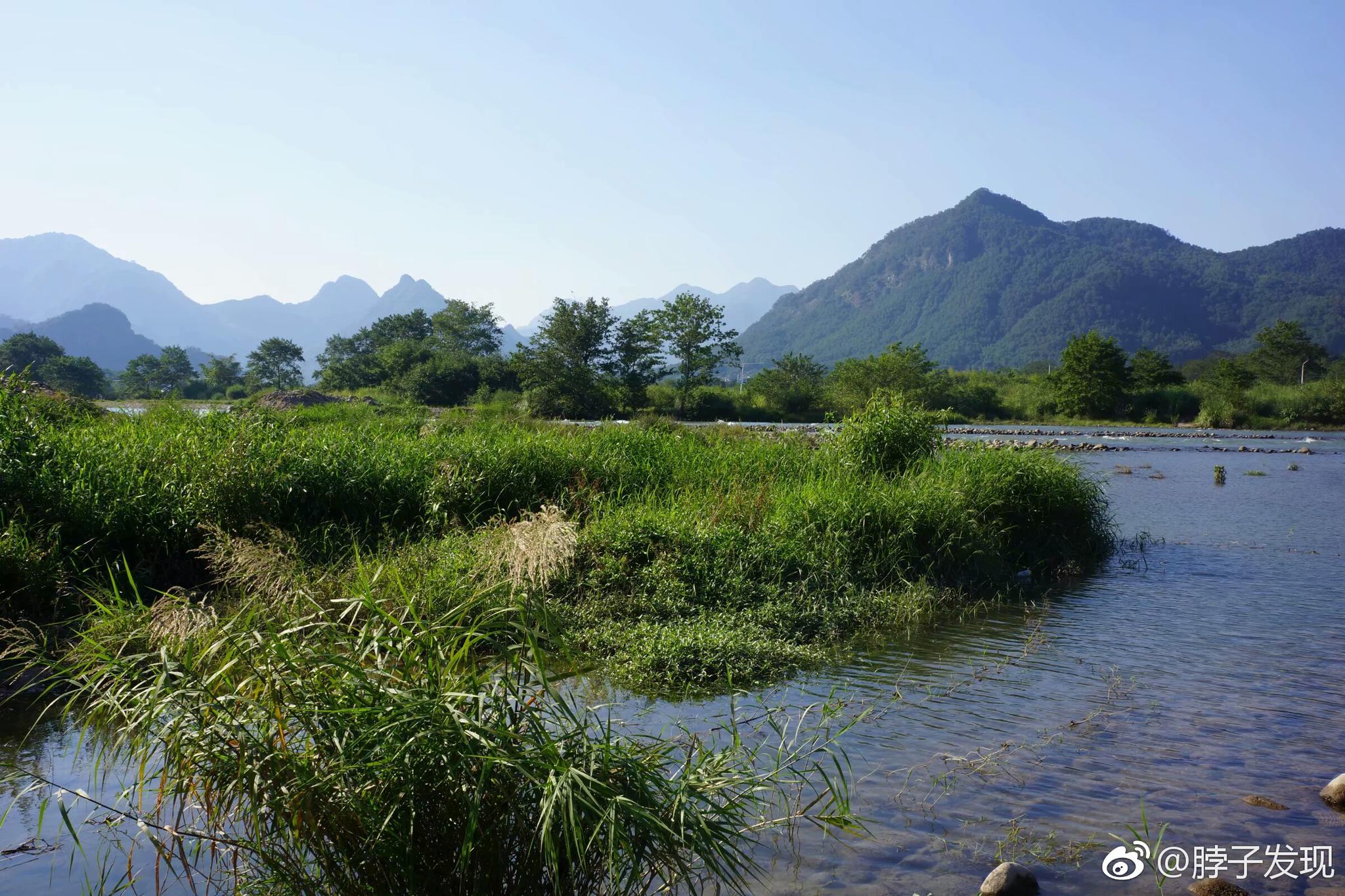 公园早晨空气清新感受 南岸太子湾公园四季美景