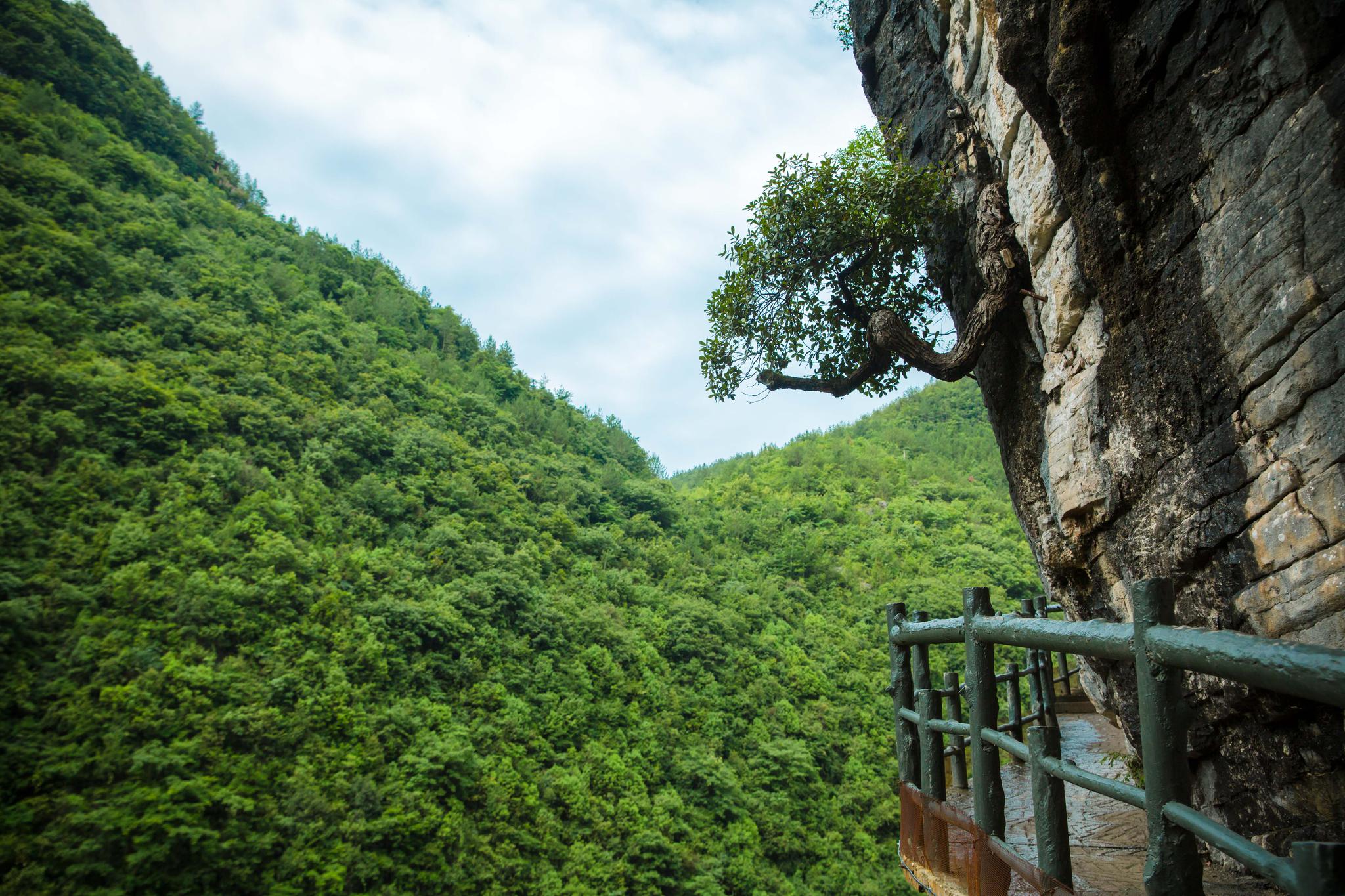 湖北恩施绝美深山峡谷,不光名字好听,是盛夏避暑胜地