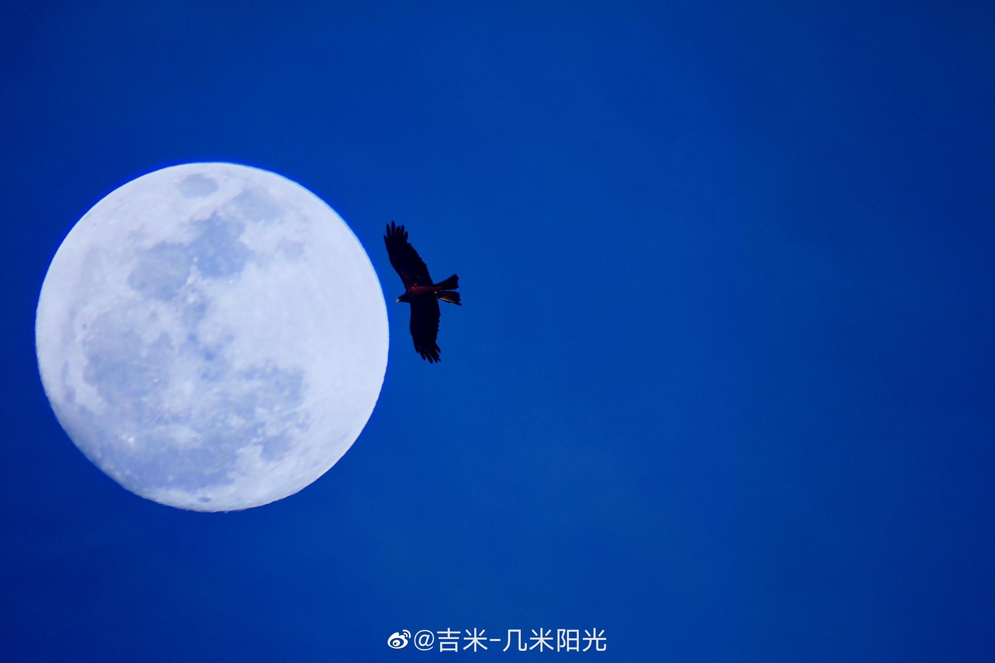 十五的月亮十六圆._高清图集_新浪网