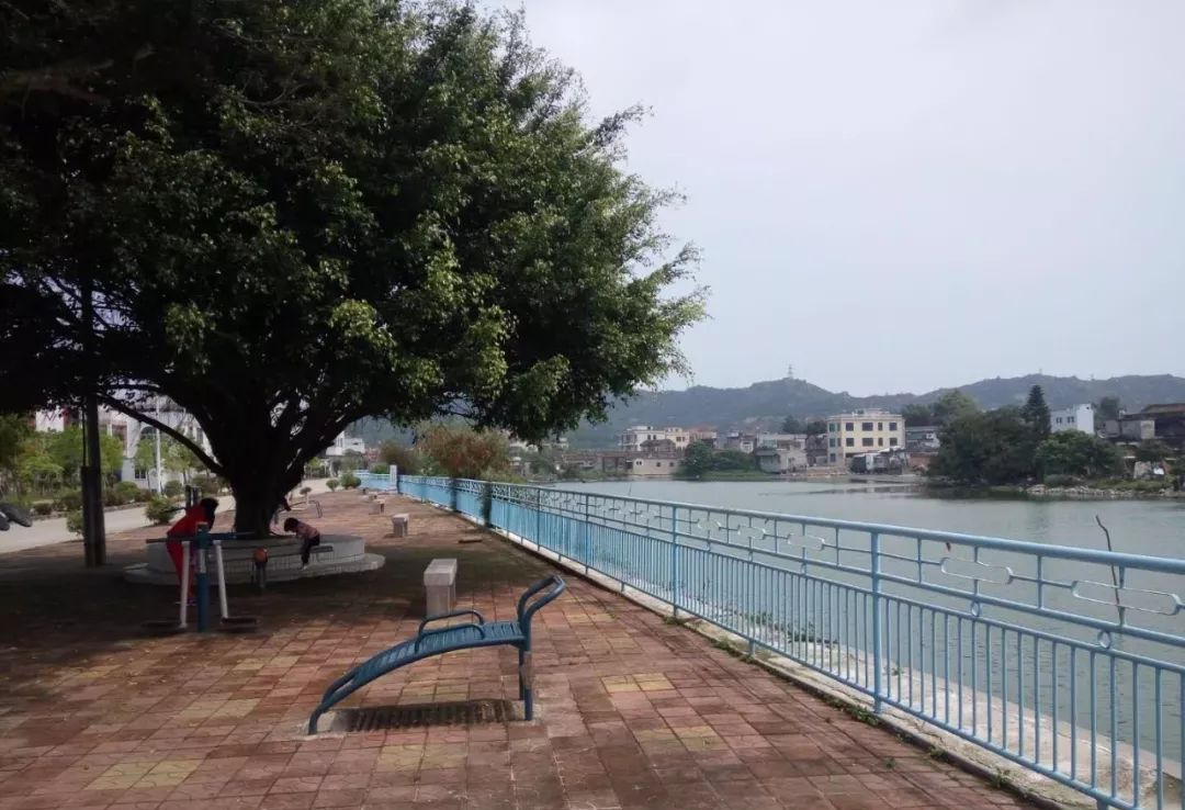 汕头濠江区的这个古村落旧貌换新颜,一举成为美丽乡村建设示范村