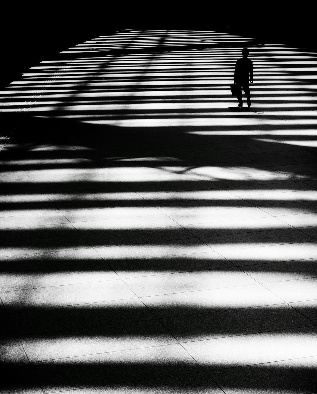 街头剪影 | Laurence Bouchard|剪影_新浪新闻