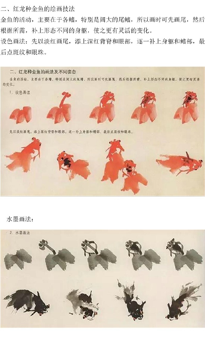 几种国画鱼的写意画法 几种国画鱼的写意画法