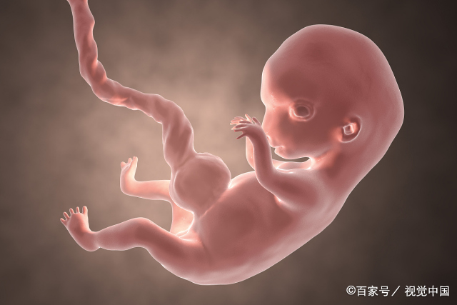 十月怀胎,这几个周是胎停育的"高峰期",孕妇要早早发现早治疗