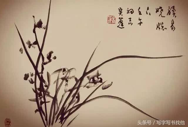 吴蓬先生解析兰花画法,从叶到根全搞定