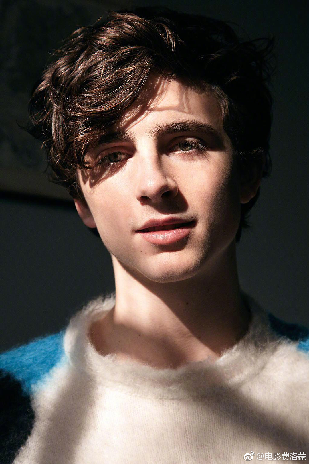 今天是小甜茶Timothée Chalamet 23岁生日