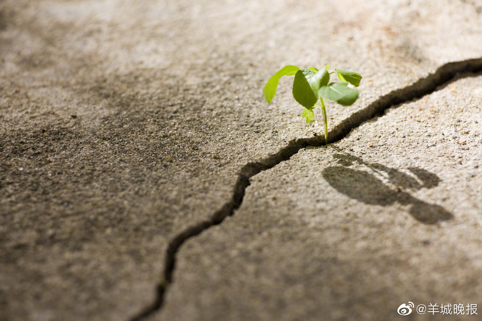 学会接受人生的不完美,接受这一路坎坎坷坷,你只需