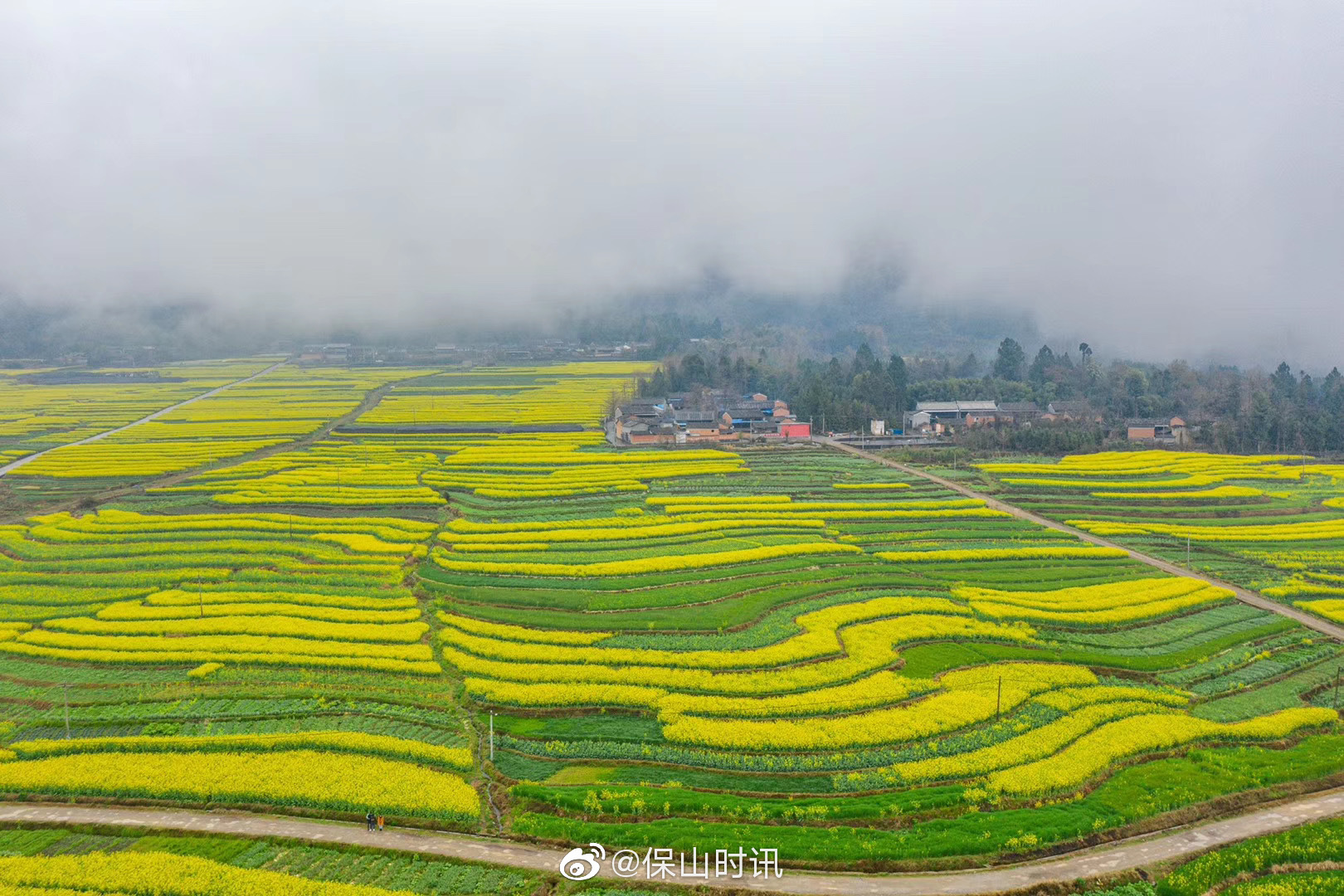 請艾特出你想跟他一起去騰衝界頭油菜花海的人