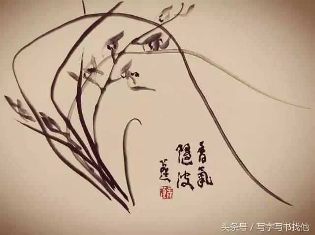 吴蓬先生解析兰花画法,从叶到根全搞定