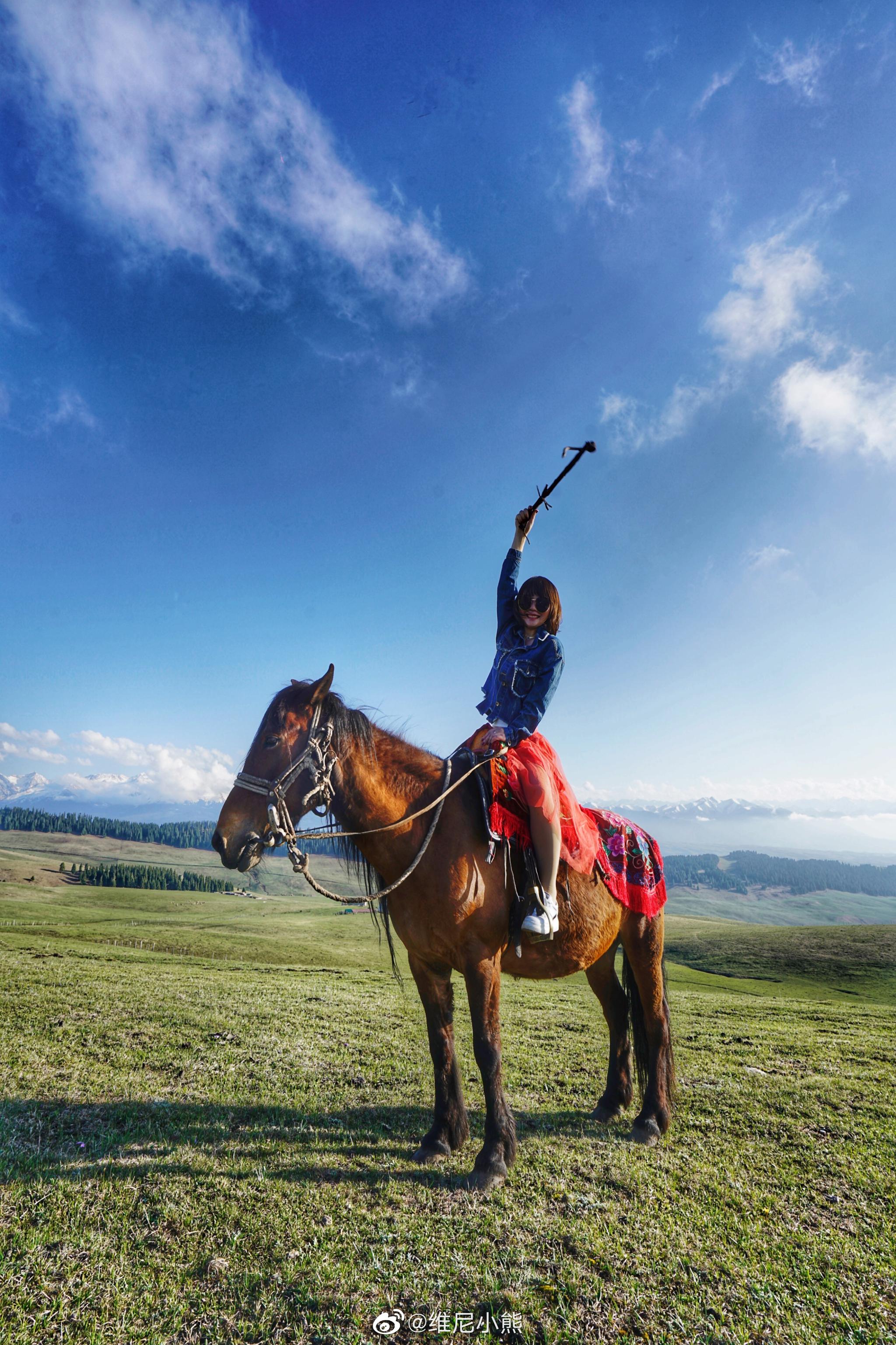 部分照片感谢刘灵波老师拍摄|喀拉峻草原|高山草甸|自然遗产_新浪新闻
