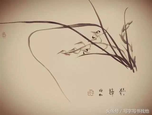 吴蓬先生解析兰花画法,从叶到根全搞定