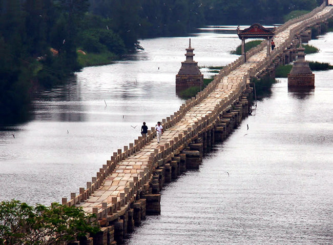 我愿化身一座石桥经受五百年风吹五百年日晒五百年雨打