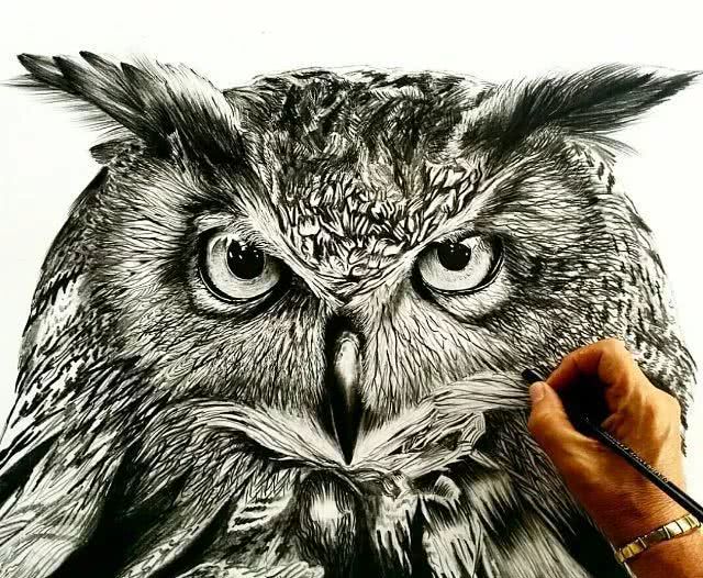 进来瞧瞧素描画的好的人是有多牛