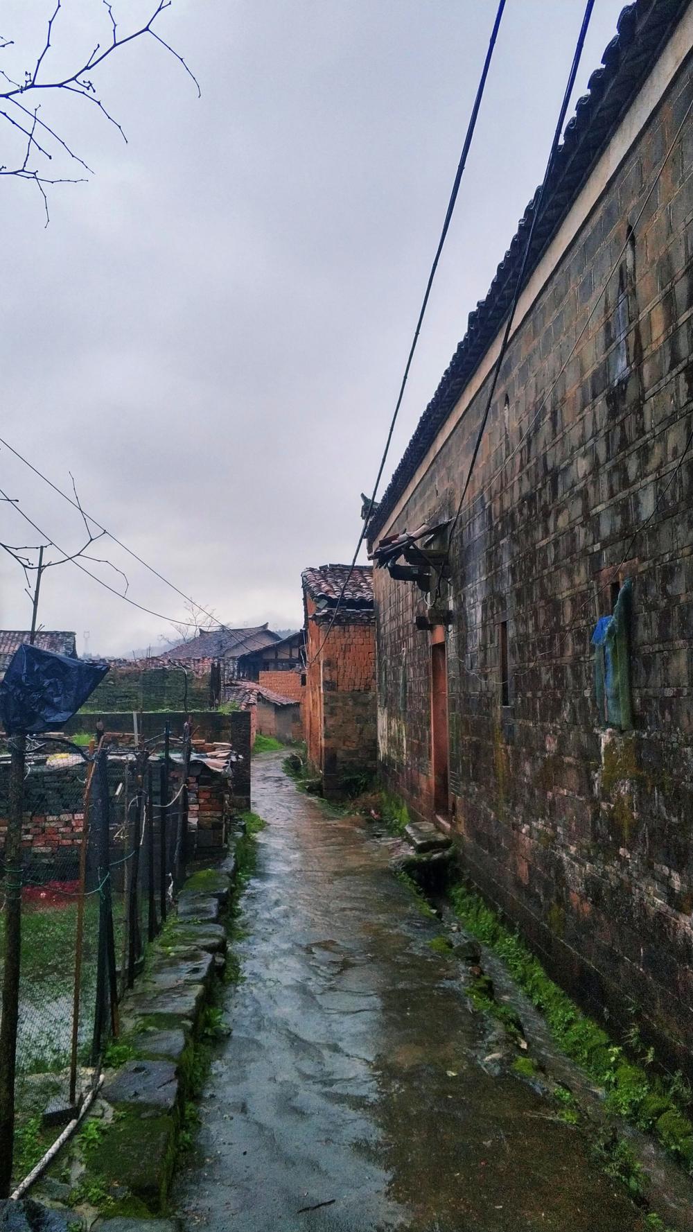 江西省抚州市南城县株良镇泷油村-恰似童年住的村庄