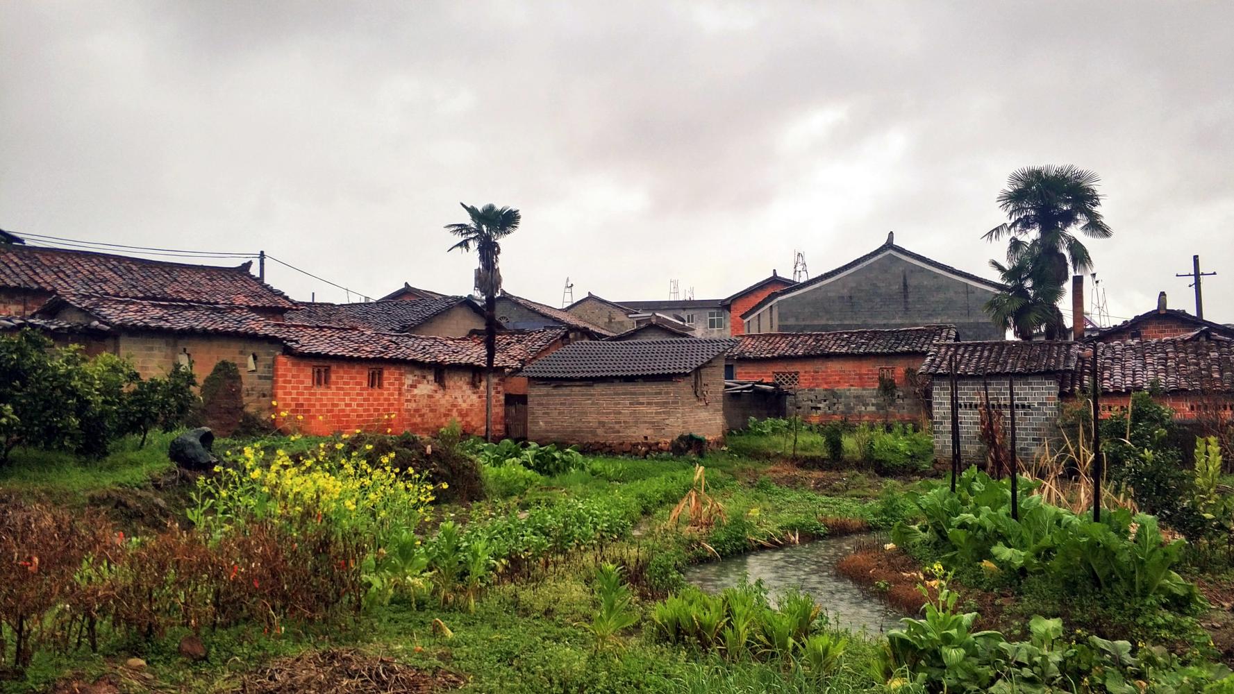 江西省抚州市南城县株良镇泷油村-恰似童年住的村庄