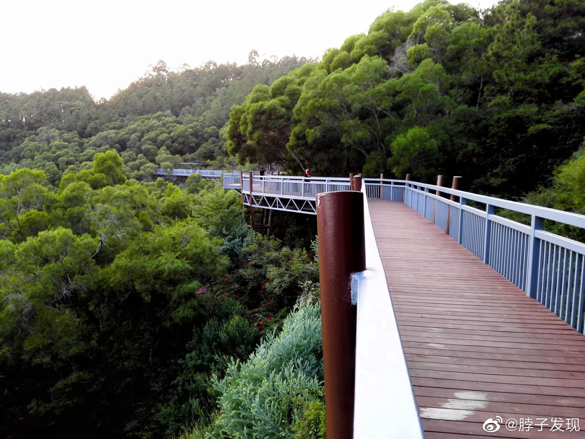 厦门步行栈道将在不久后完工.但少有人知的是,位于仙岳山南麓