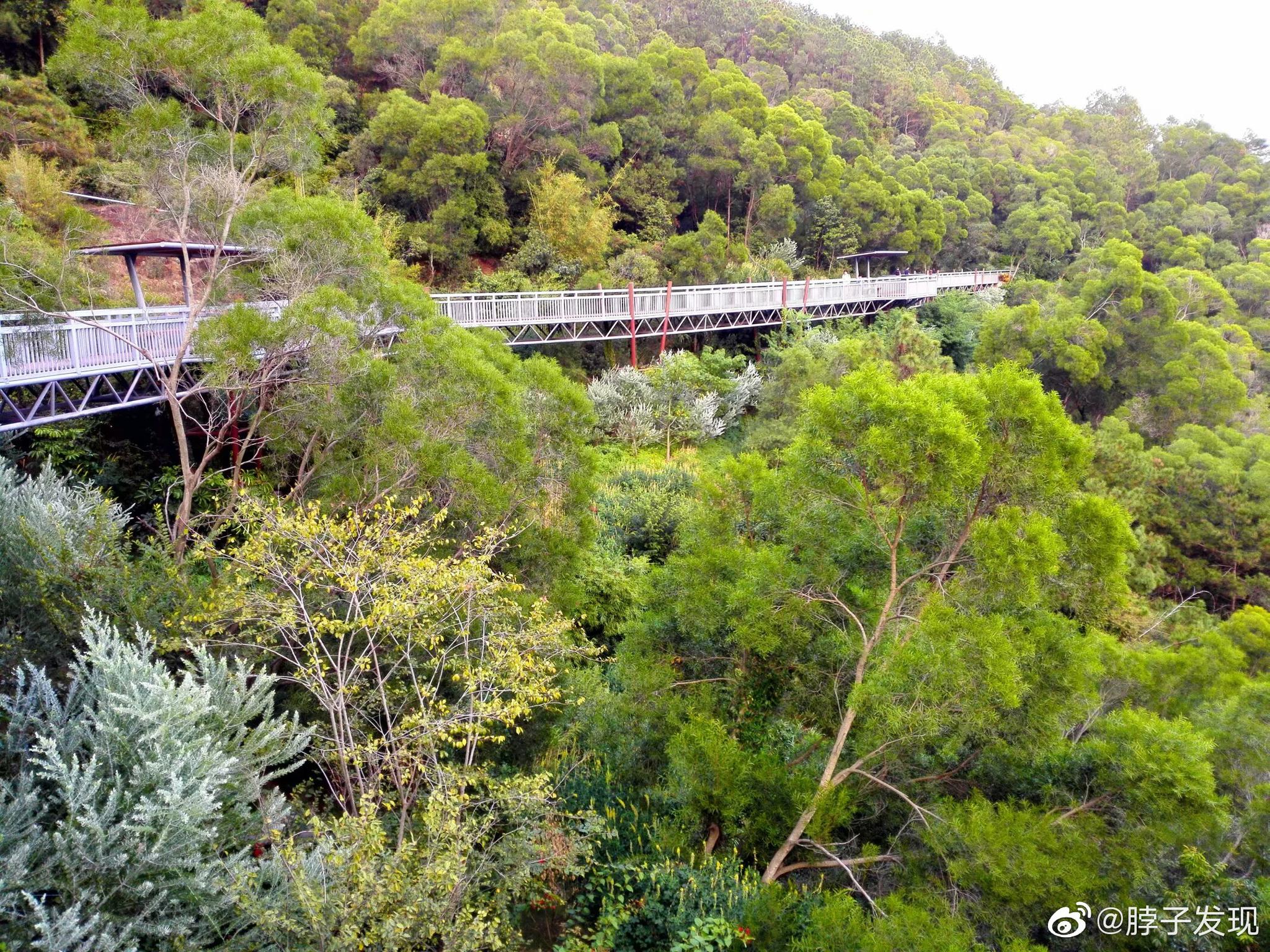 厦门步行栈道将在不久后完工.但少有人知的是,位于仙岳山南麓
