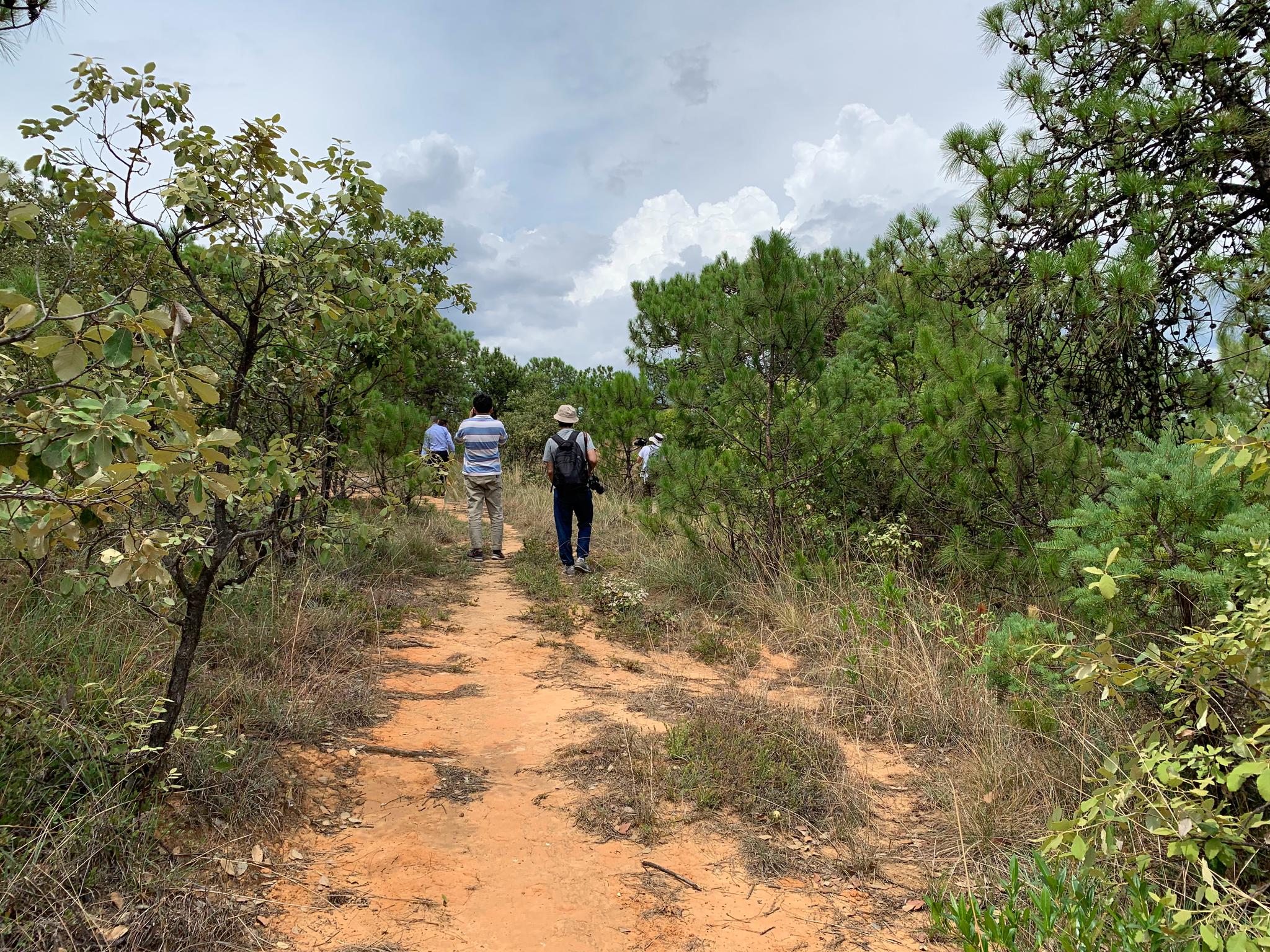 前往楚雄彝族自治州禄丰县海拔两千多米的高|云南|禄丰县|多米_新浪网