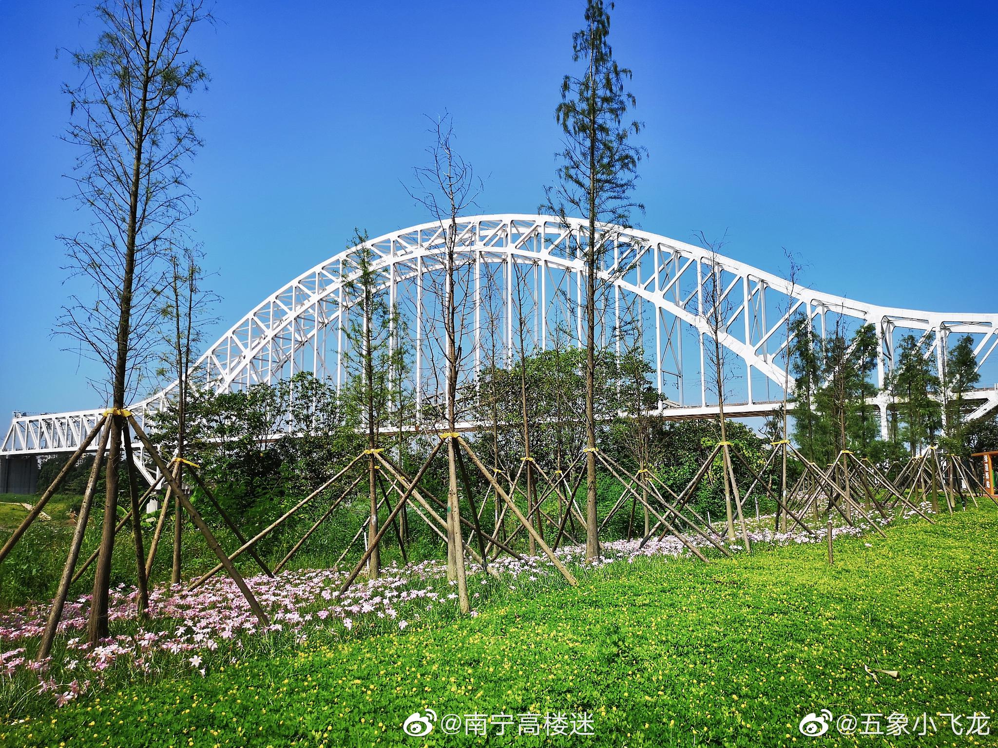 滨水江畔,秀美邕江,南宁是不是有点花园城市的样子了