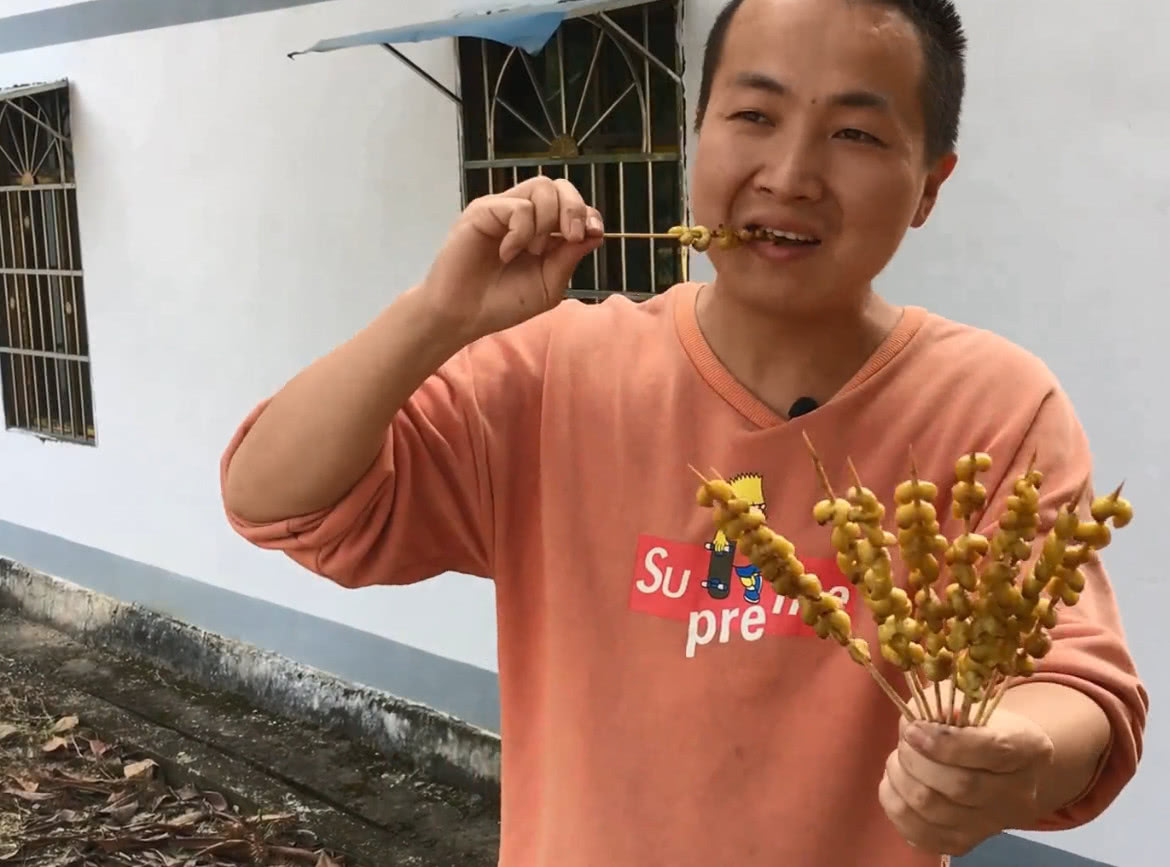 市场上可以卖到几百块钱的葛根虫,这位农村大哥花了一个上午的时间,在