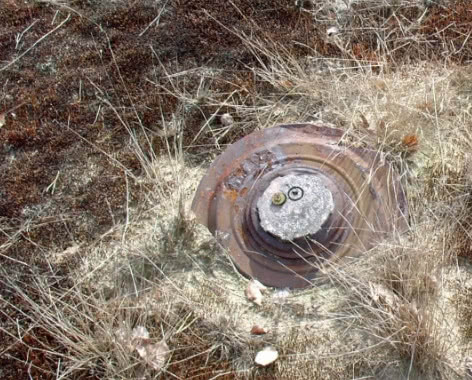 战场上踩到地雷只要不动就能保命是真的吗老兵说