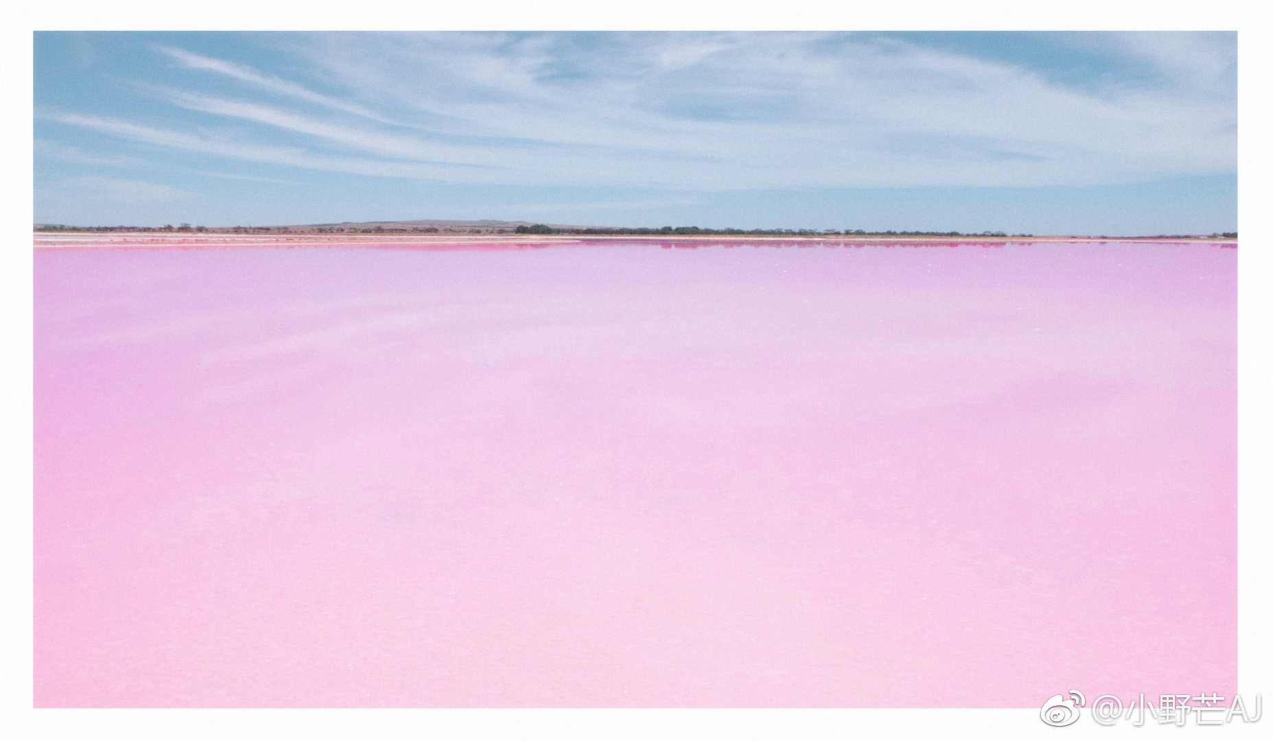 sydney_am婚纱工作室  「澳洲网红粉红湖」  67