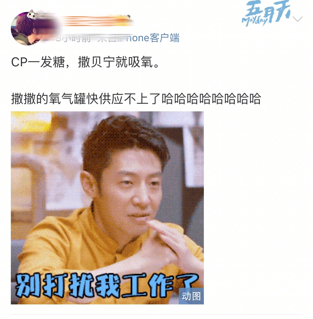 谁成想撒贝宁出圈靠表情包哈哈哈哈哈哈哈哈哈哈哈哈哈哈芳心纵火犯|撒贝宁|纵火犯|芳心_新浪新闻