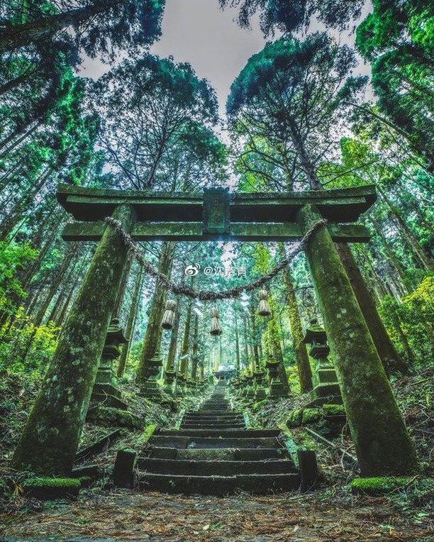 日本奇幻之景 萤火之森取景地上色见熊野座神社 相信对于