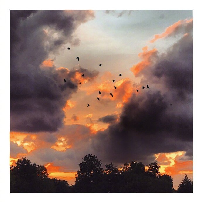 晓看天色暮看云 行也思君 坐也思君