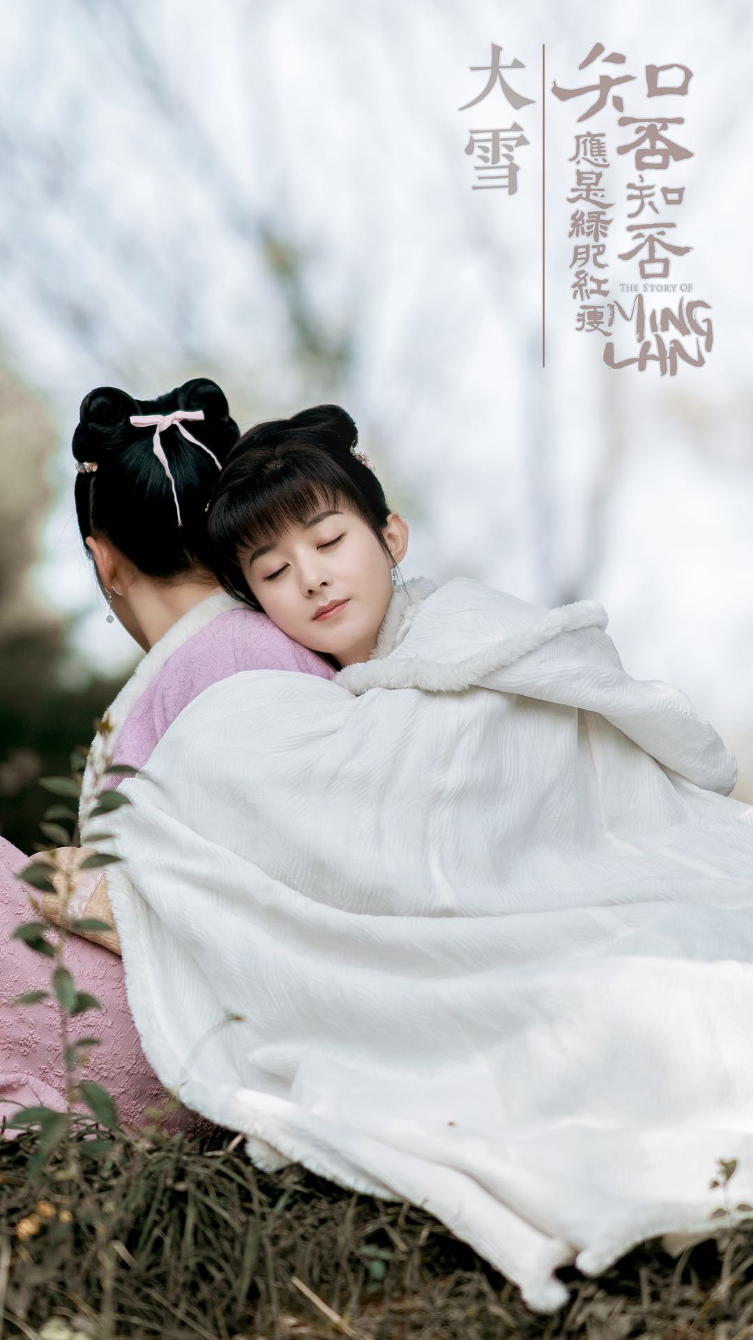 知否知否应是绿肥红瘦你可知这剧名到底是什么意思