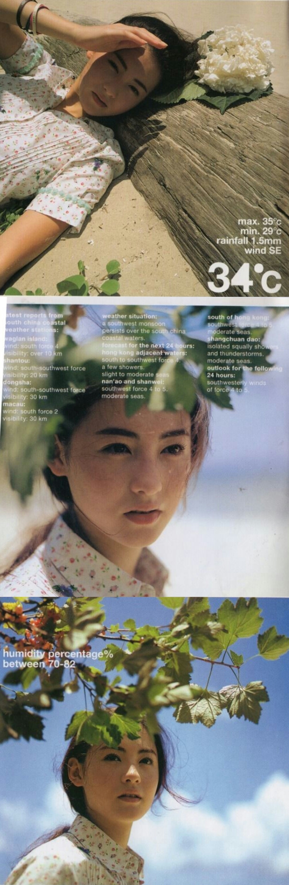 张柏芝1999《任何天气》