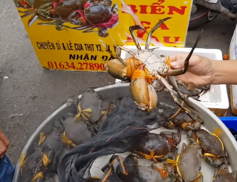 泰国街头的大螃蟹,一斤20块,以为捡到宝,没想到是"缩水"蟹