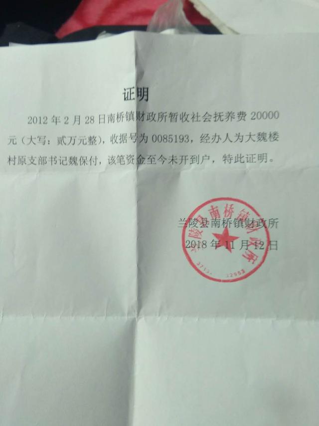 南桥镇财政所出具的证明,暂收社会抚养费2万元.