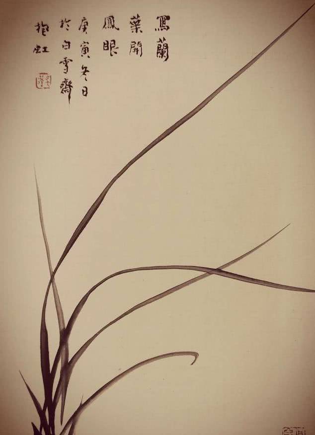 吴蓬先生解析兰花画法,从叶到根全搞定