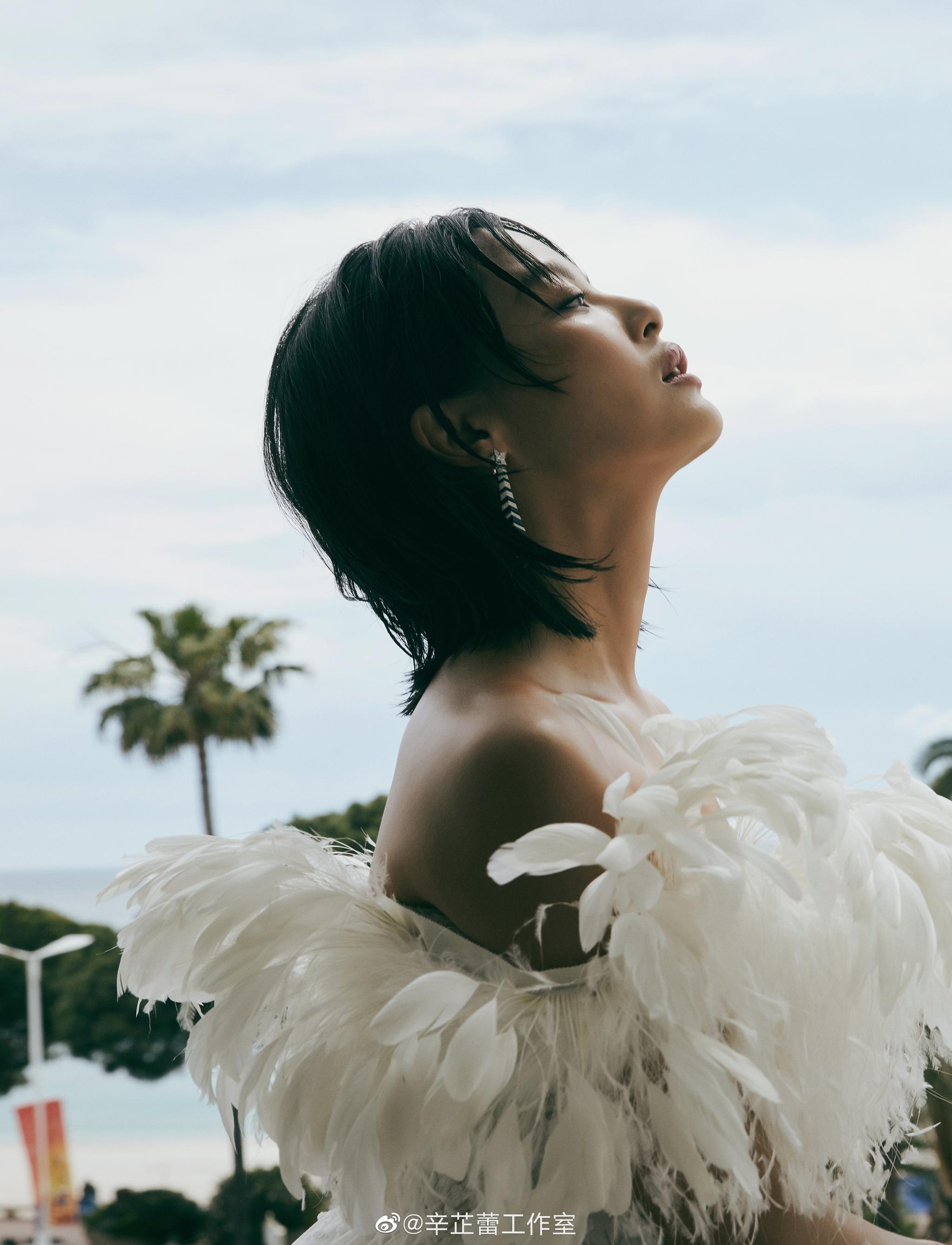 巴黎欧莱雅魅力代言人@辛芷蕾 即将亮相戛纳电影节主竞赛单元入围影片