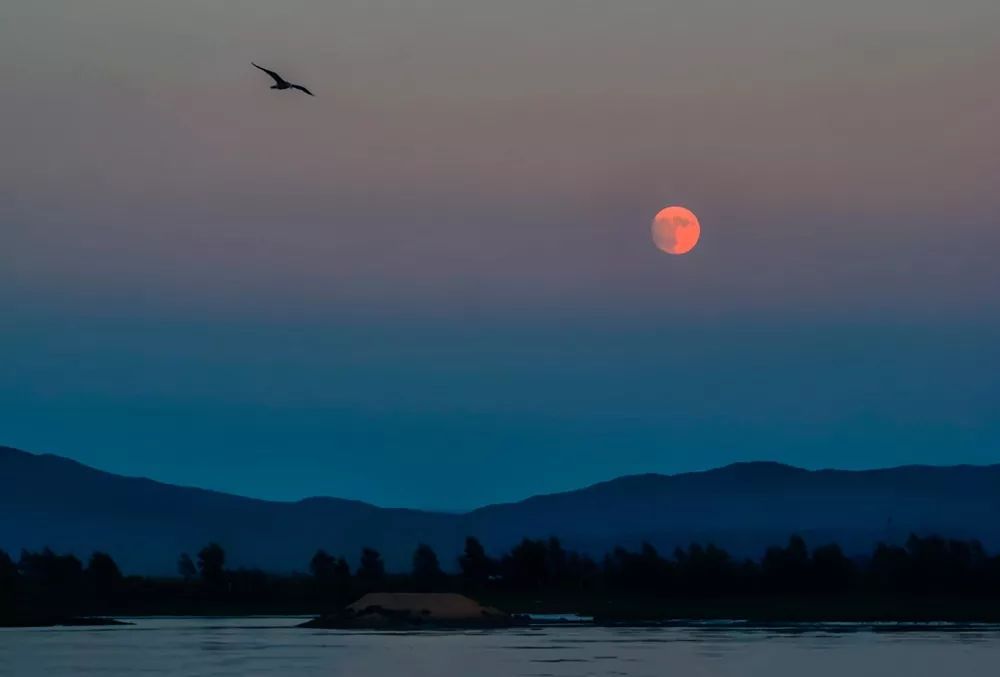 月亮|杜甫|明月_新浪新闻